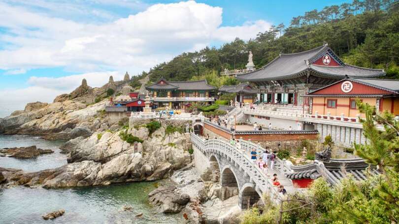 Check In Jeju: Stylish Guesthouse Near Hallim