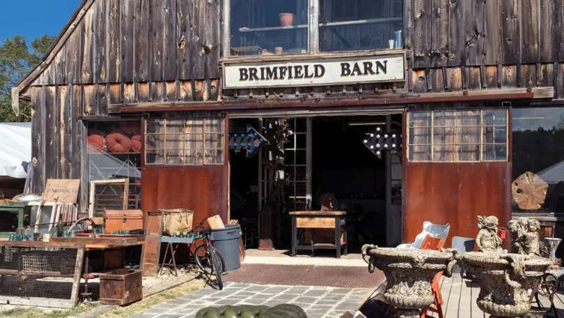 Friendly City Flea: Where Vintage Soul Meets Modern Creative Charm