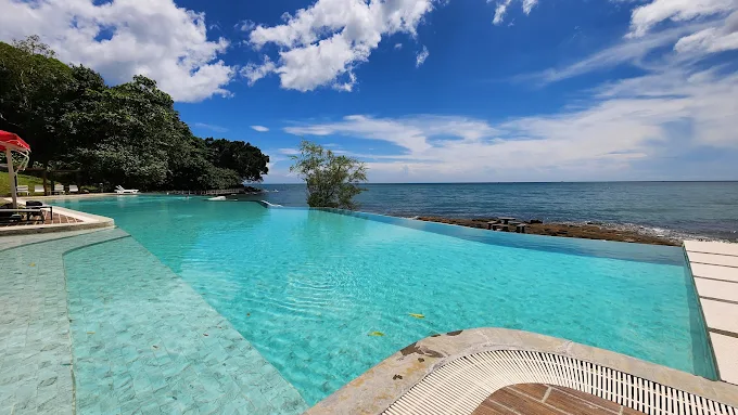 AllergyFriendlyHotels: Making Travel Safer for Sensitive Guests