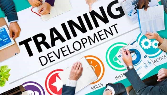 Optimizing Athletic Performance: The Synergy of Training and Practice